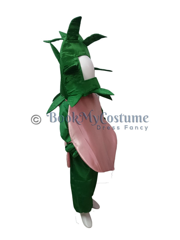 Children's vegetable fancy dress best sale