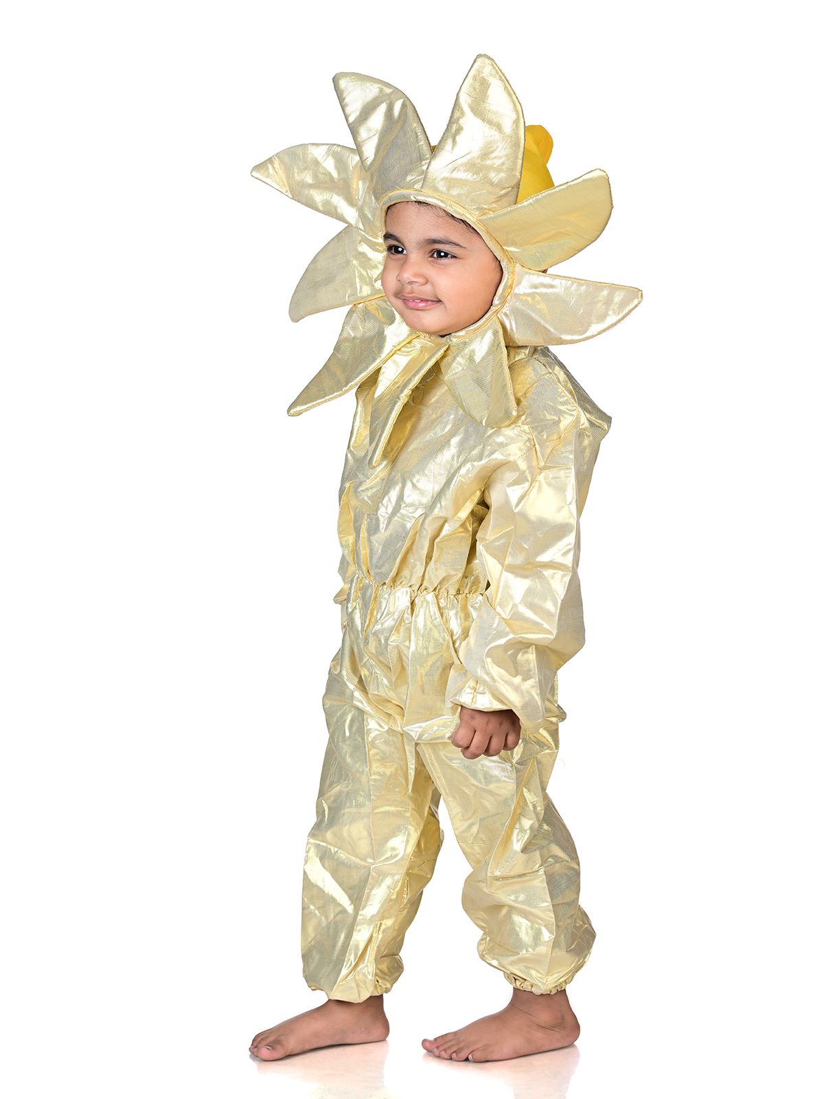 Buy KAKU FANCY DRESSES Kids Tree Costume,Nature Costume for Annual  Function/Theme Party/Stage Shows/Competition/Birthday Party Dress Online at  Low Prices in India - Amazon.in