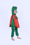 Strawberry Fruit Kids Fancy Dress Costume