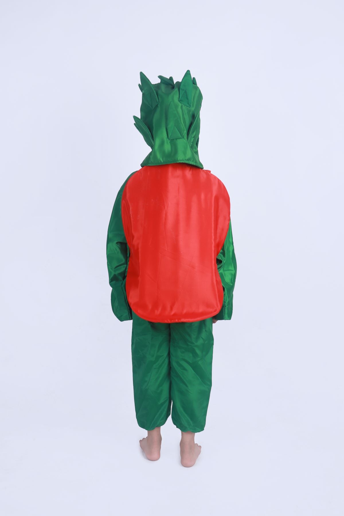 Rent or Buy Strawberry Fruit Kids Fancy Dress Costume Online in India