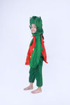 Strawberry Fruit Kids Fancy Dress Costume