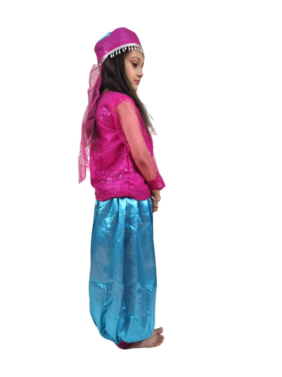 Arabian Girl Pink & Blue Belly Dance Western Dance Performance Costume for Girls