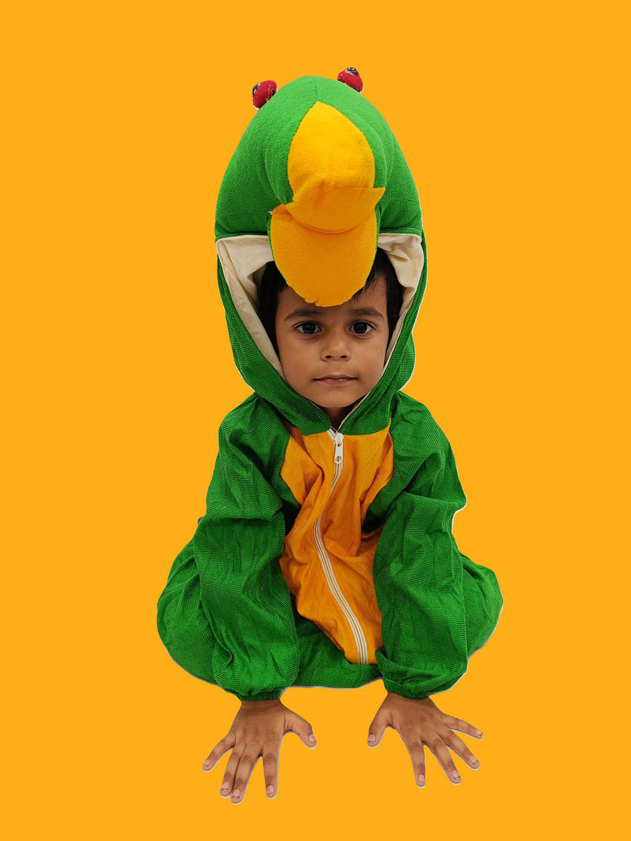 Frog Aquatic Animal Kids Fancy Dress Costume