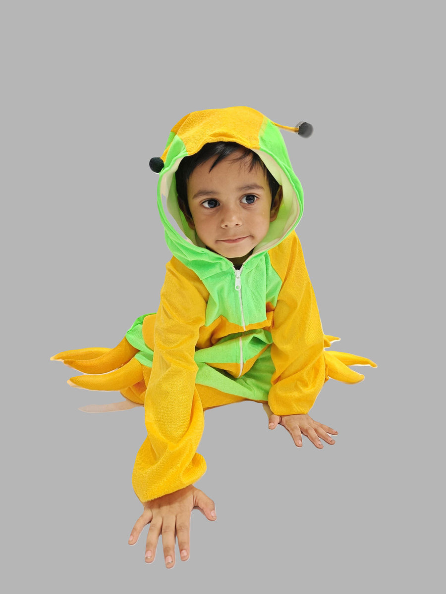 BookMyCostume Insect with Multiple Legs Kids Fancy Kids Costume