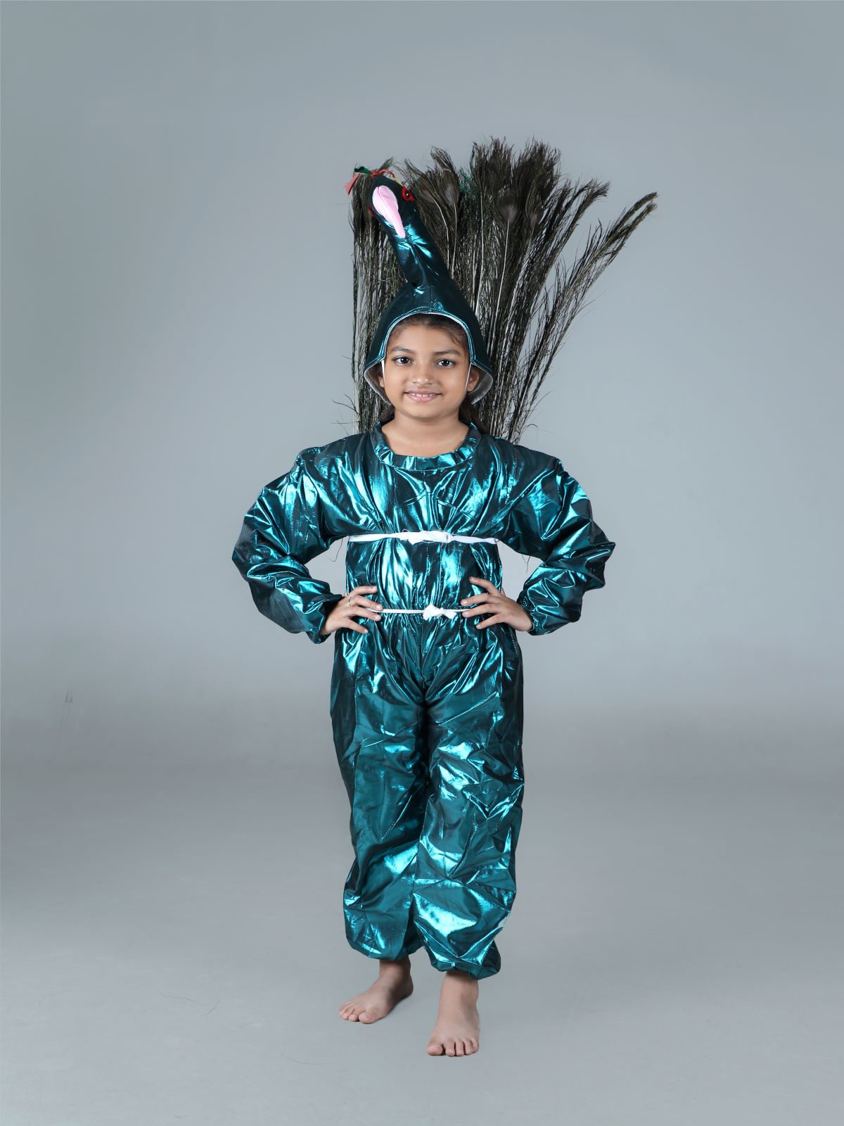 Buy Peacock (with Feathers) Kids Fancy Dress Costume Online in India