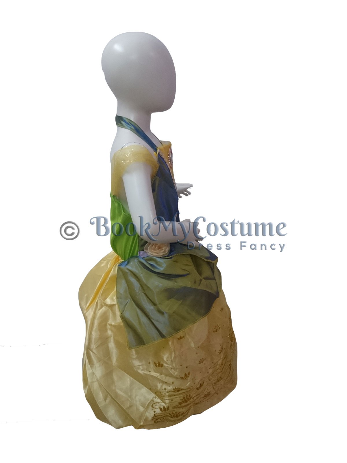 Tiana hot sale fancy dress