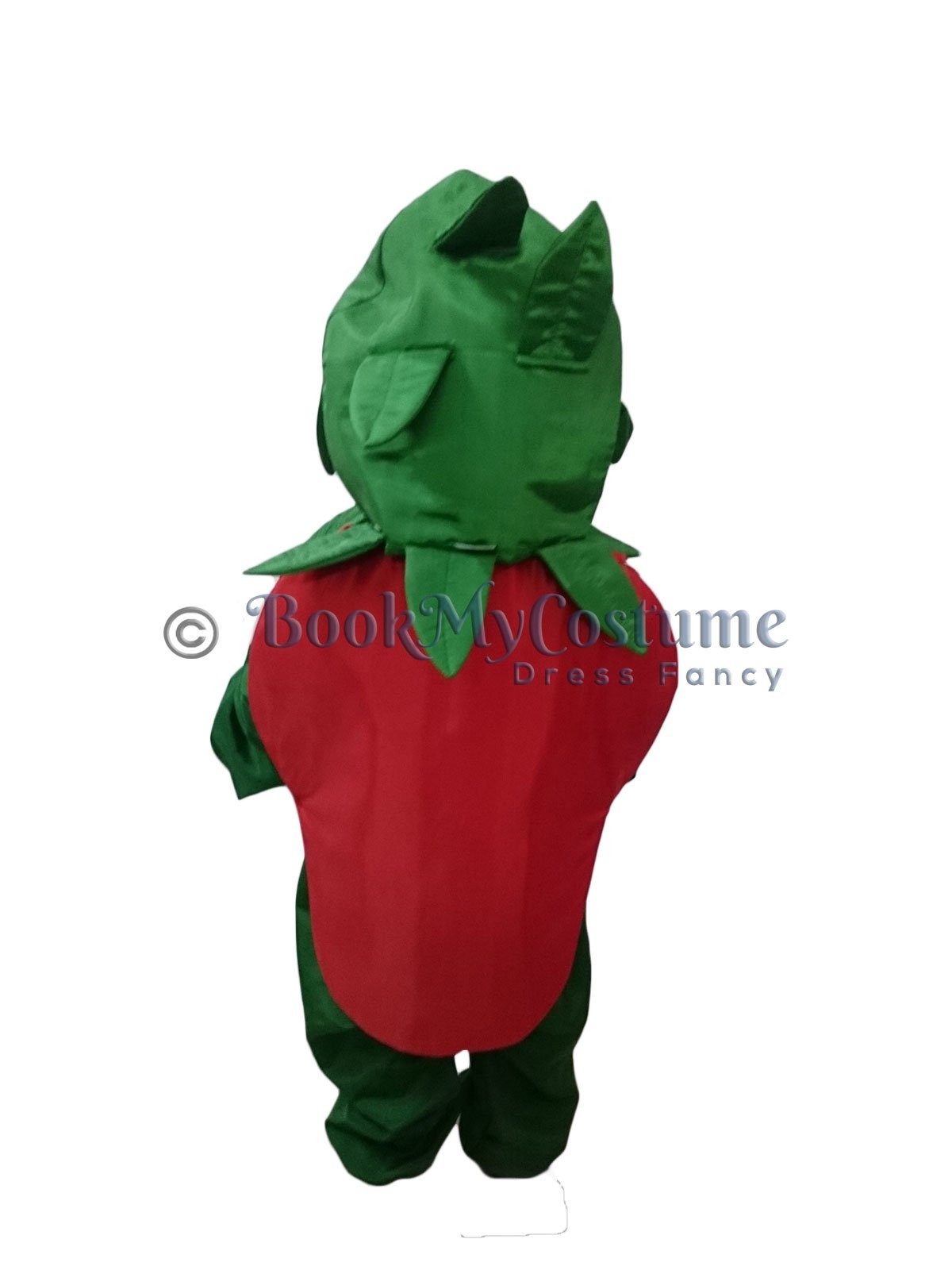 Buy Fancydresswale Kids Pomegranate Fruit Fancydress Costume (3-5 Yrs)  Online at Best Prices in India - JioMart.