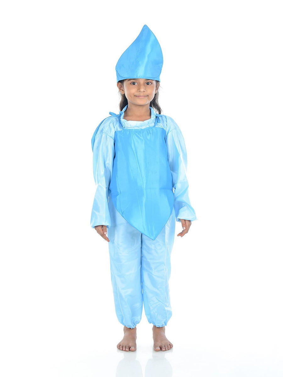 Hetal ponda selection | Fancy dress, Fancy dress for kids, Fancy dress  costumes kids