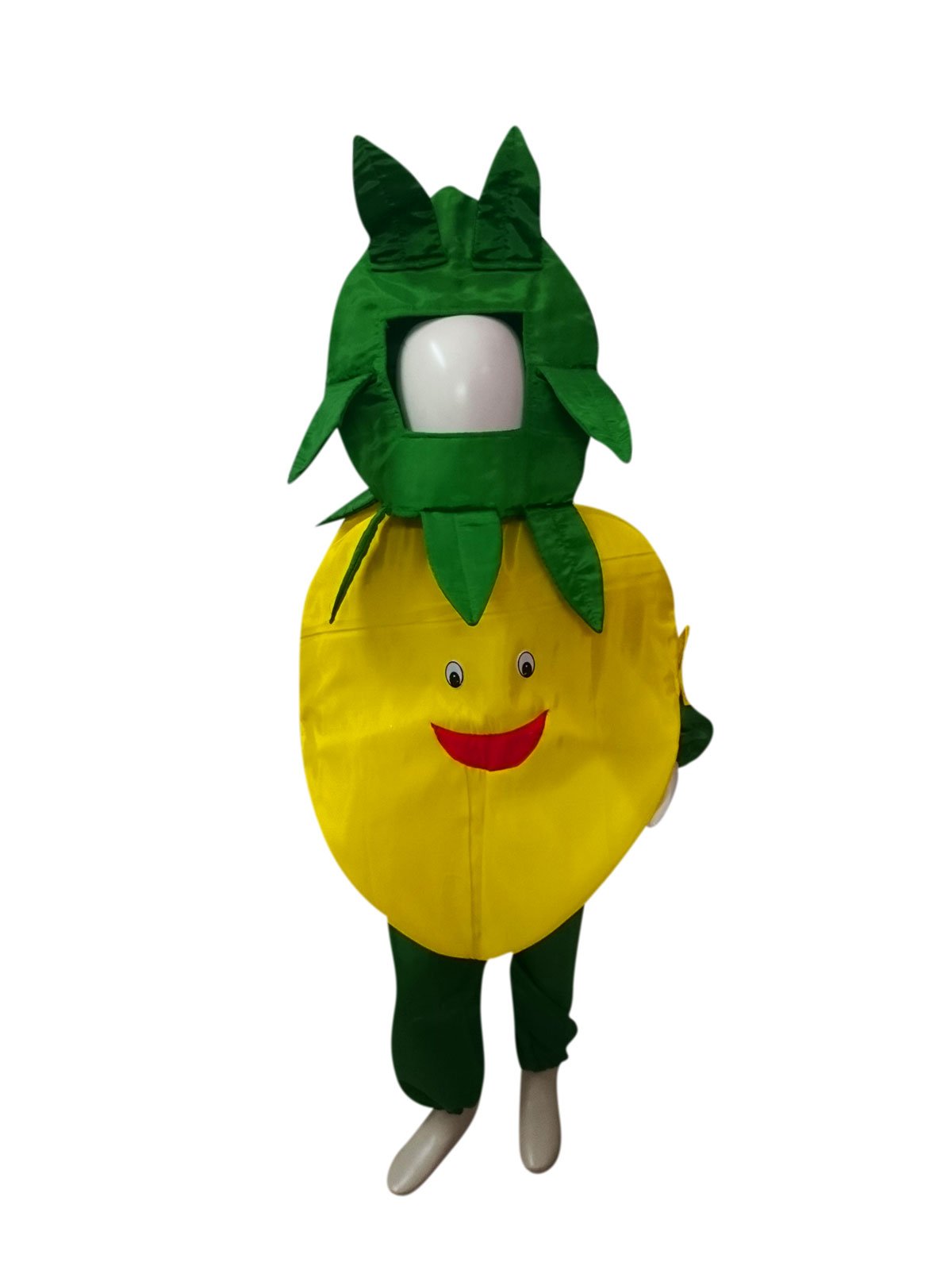 Buy Online Gourd Or Pumpkin Vegetables-fruits Fancy Dress Costumes For  Kids, Manufacturer,Exporter,Supplier,Indore