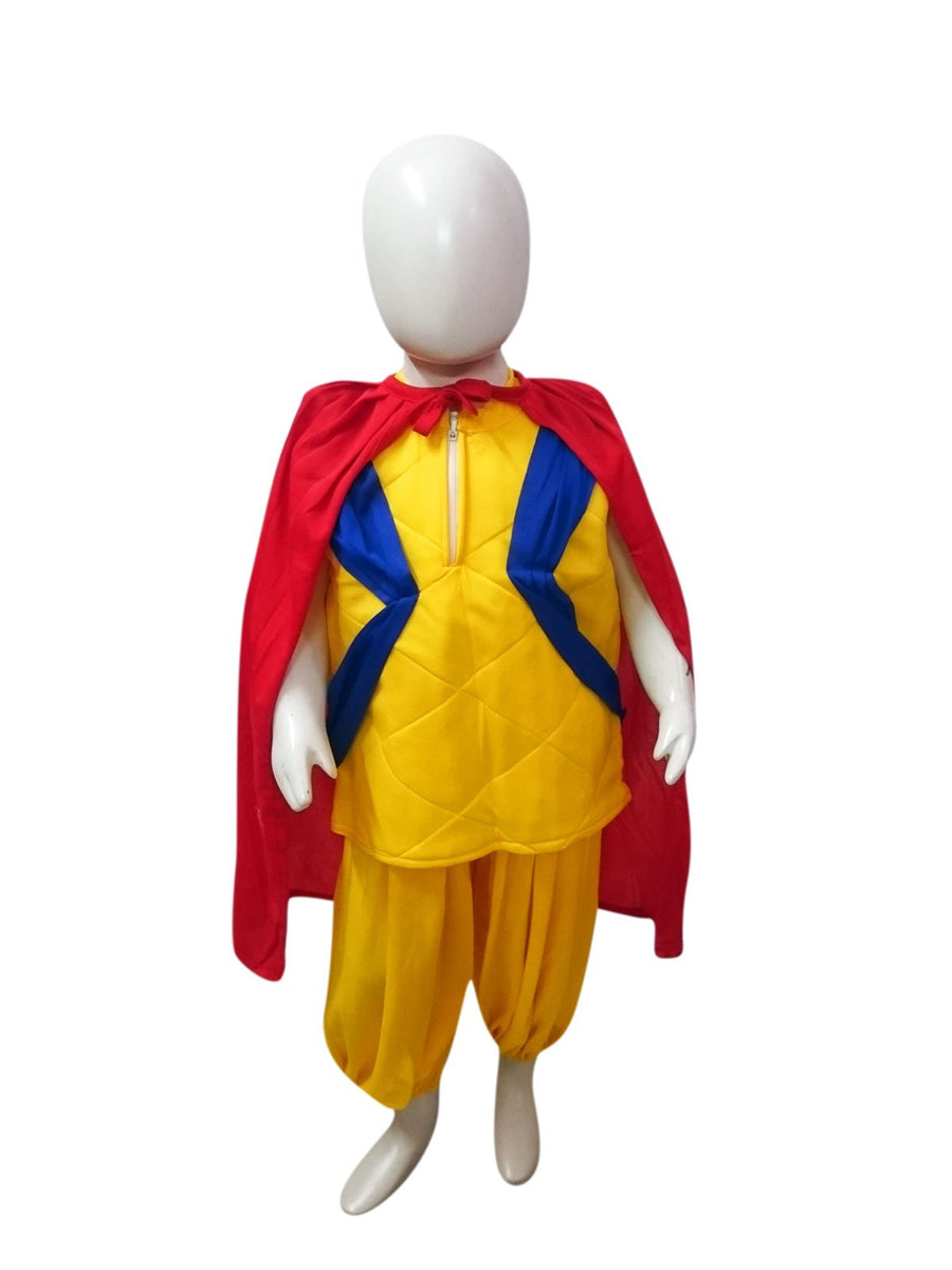 Cartoon Costumes  Buy or Rent Kids Fancy Dress Costumes in India - indian  cartoon costume