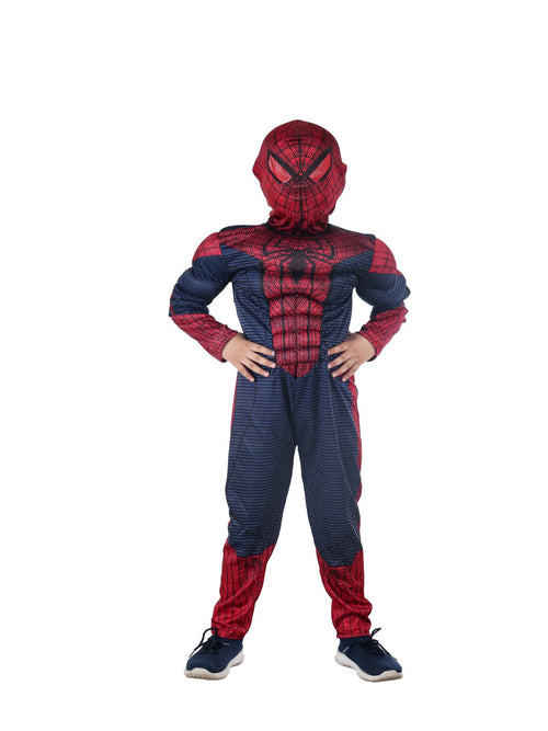 Buy Krrish Movie Superhero Kids Fancy Dress Costume Online in India